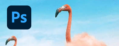 フォトショップ 買い切り版永続ライセンス